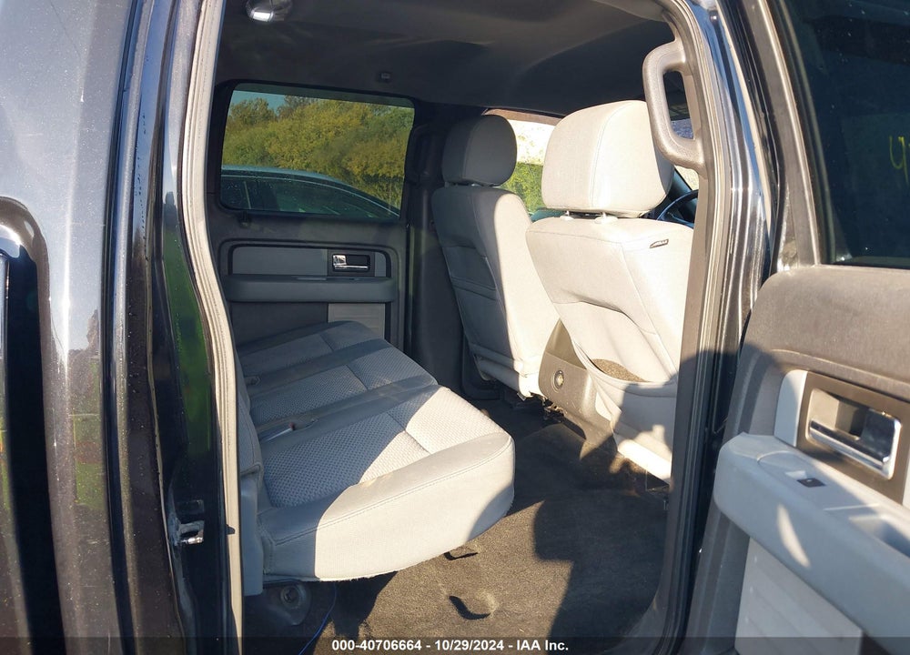 2013 FORD F-150 XLT VIN: 1FTFW1EF8DKD95387