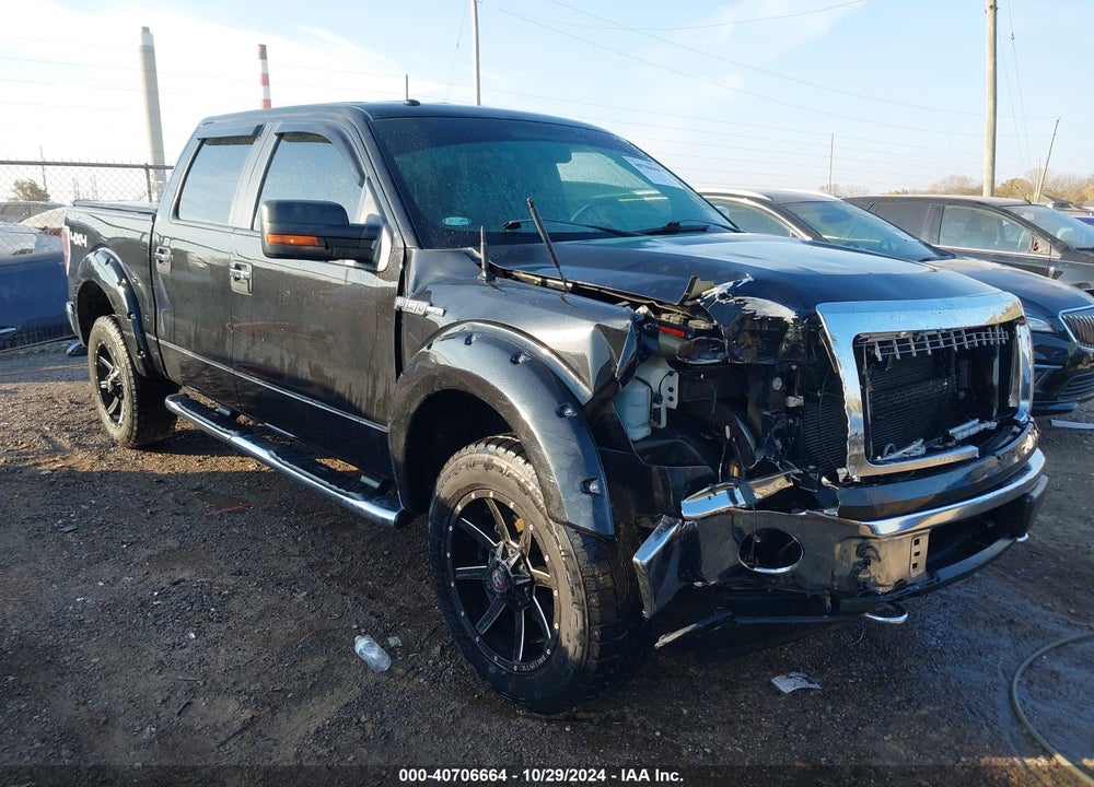 2013 FORD F-150 XLT VIN: 1FTFW1EF8DKD95387