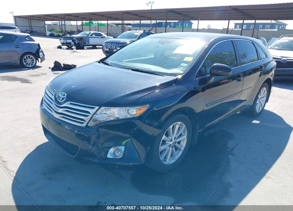 2009 TOYOTA VENZA VIN: 4T3ZE11A39U009631