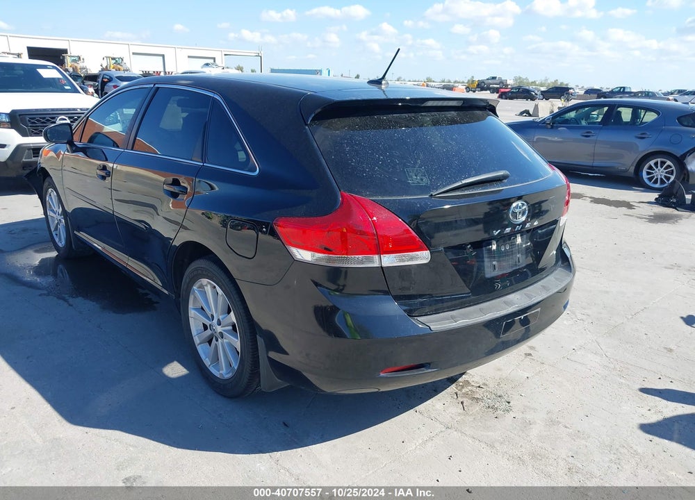 2009 TOYOTA VENZA VIN: 4T3ZE11A39U009631