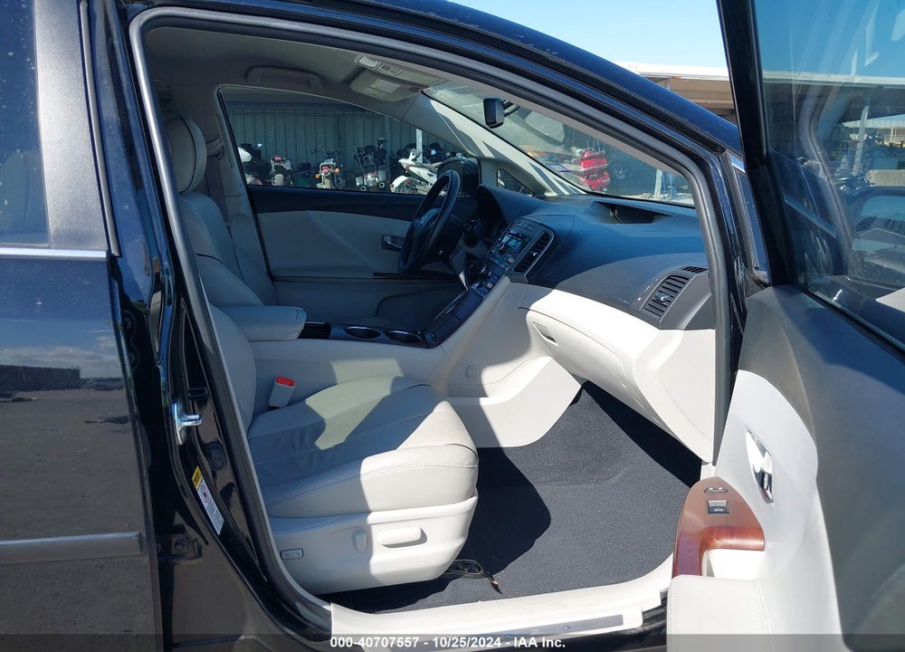2009 TOYOTA VENZA VIN: 4T3ZE11A39U009631