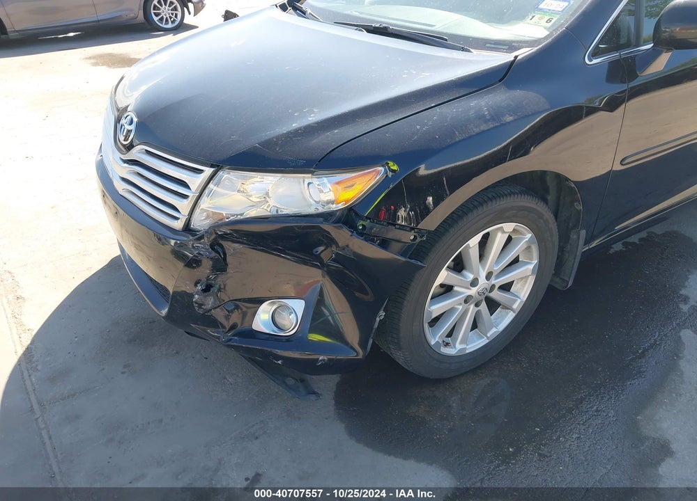 2009 TOYOTA VENZA VIN: 4T3ZE11A39U009631
