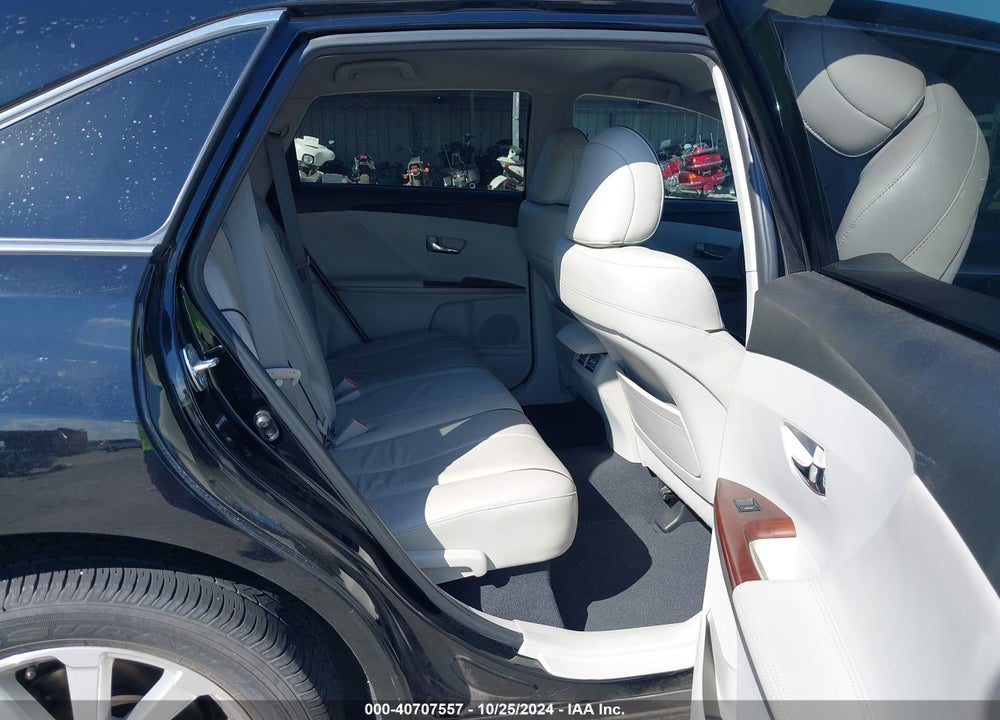 2009 TOYOTA VENZA VIN: 4T3ZE11A39U009631