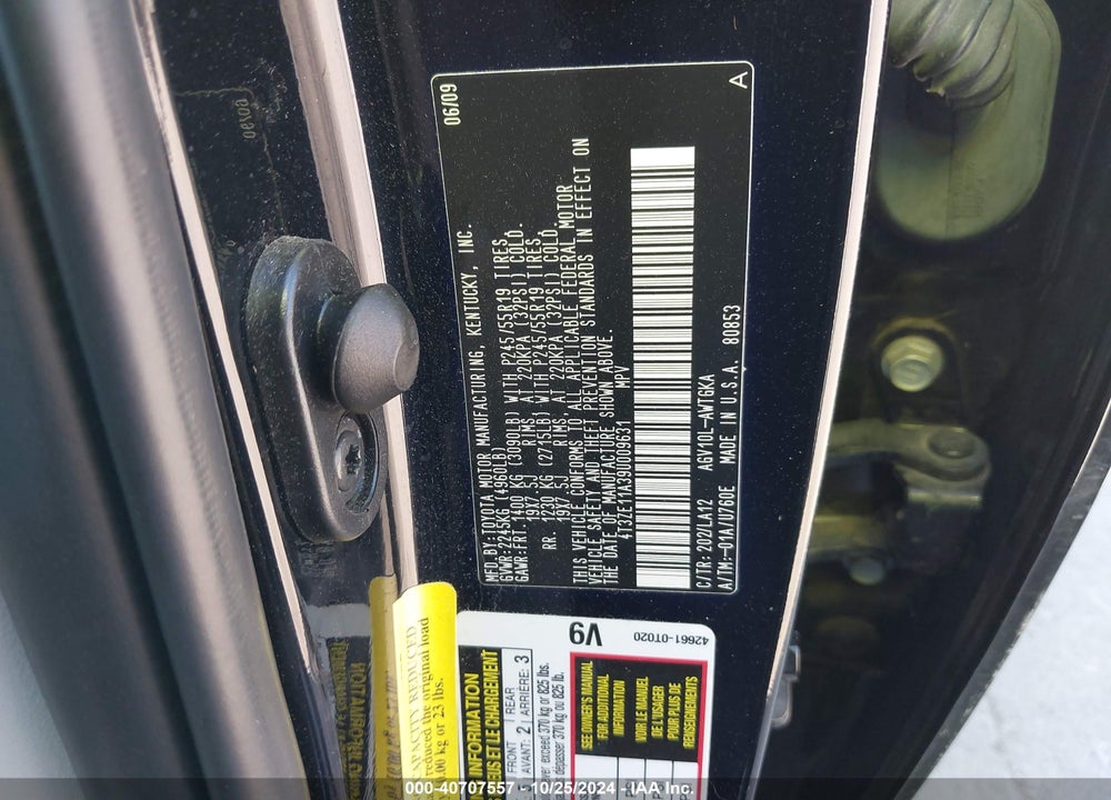 2009 TOYOTA VENZA VIN: 4T3ZE11A39U009631