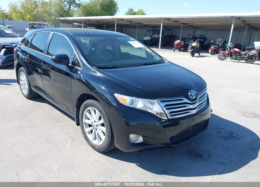 2009 TOYOTA VENZA VIN: 4T3ZE11A39U009631