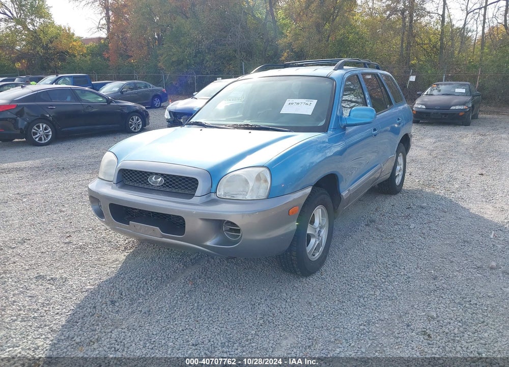 2004 HYUNDAI SANTA FE VIN: KM8SB12B44U677814