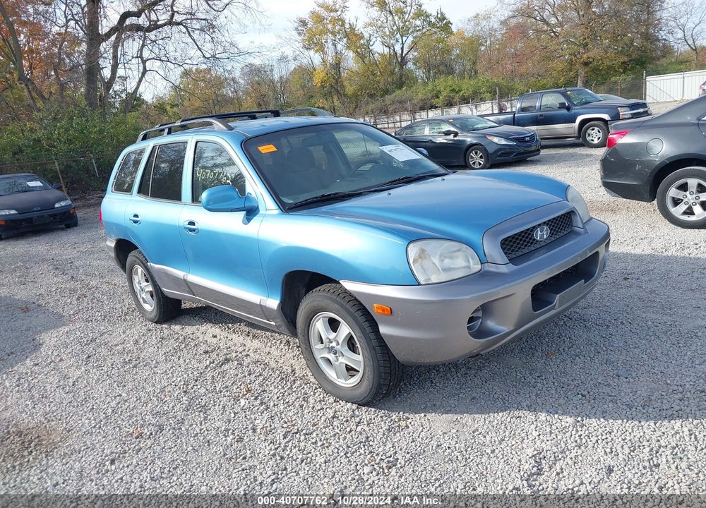 2004 HYUNDAI SANTA FE VIN: KM8SB12B44U677814