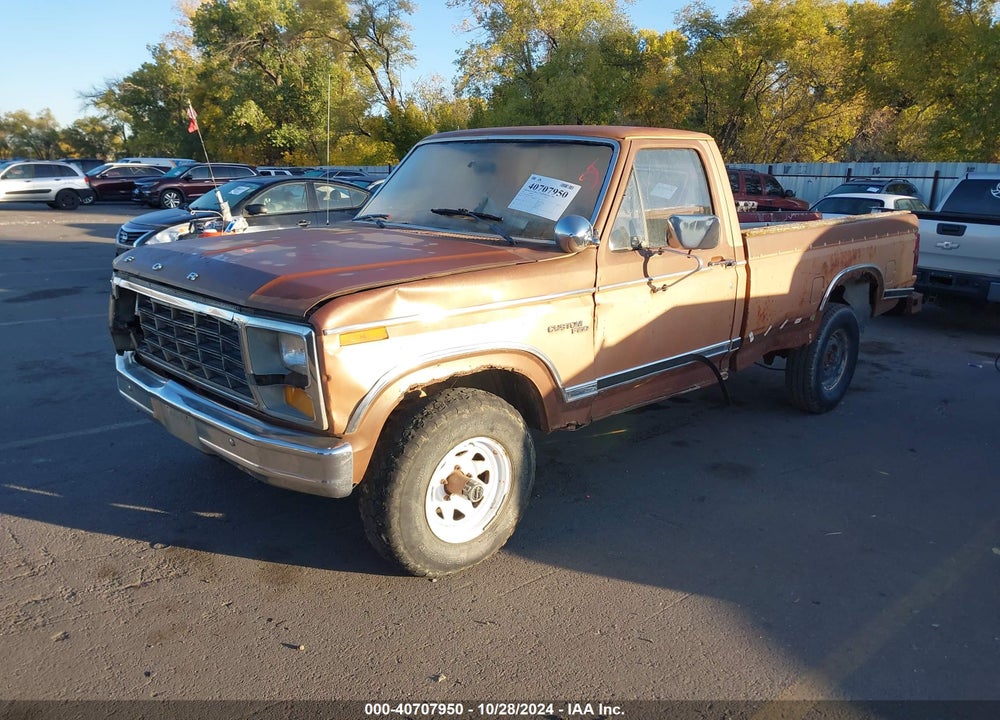 1981 FORD F150 VIN: 1FTDF14E6BPA92009