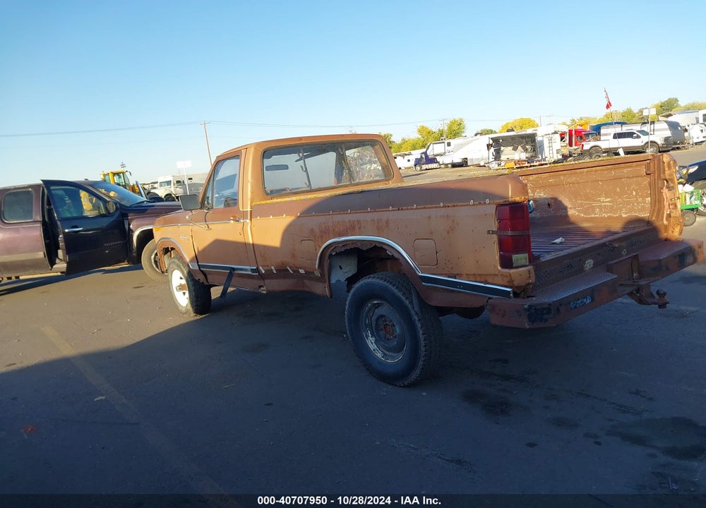 1981 FORD F150 VIN: 1FTDF14E6BPA92009