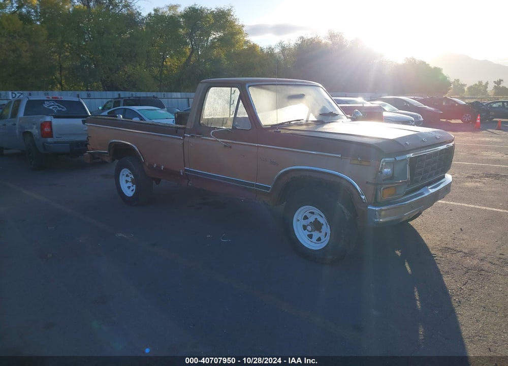 1981 FORD F150 VIN: 1FTDF14E6BPA92009