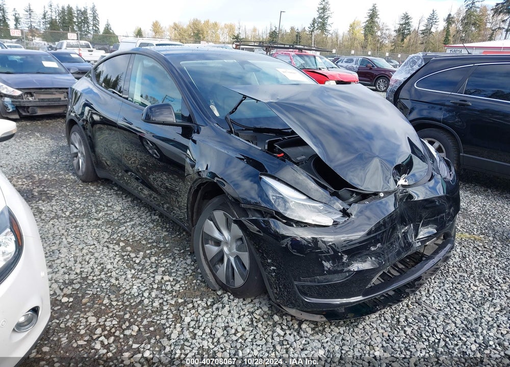 2024 TESLA MODEL Y LONG RANGE DUAL MOTOR ALL-WHEEL DRIVE VIN: 7SAYGAEE8RF981351