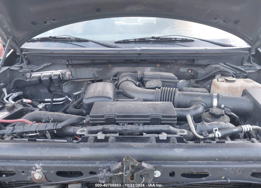 2010 FORD F-150 VIN: 1FTFX1EV8AFC76568