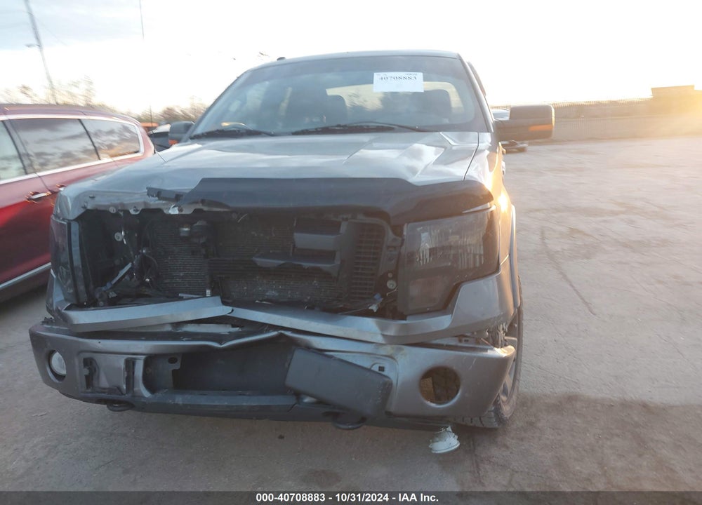 2010 FORD F-150 VIN: 1FTFX1EV8AFC76568