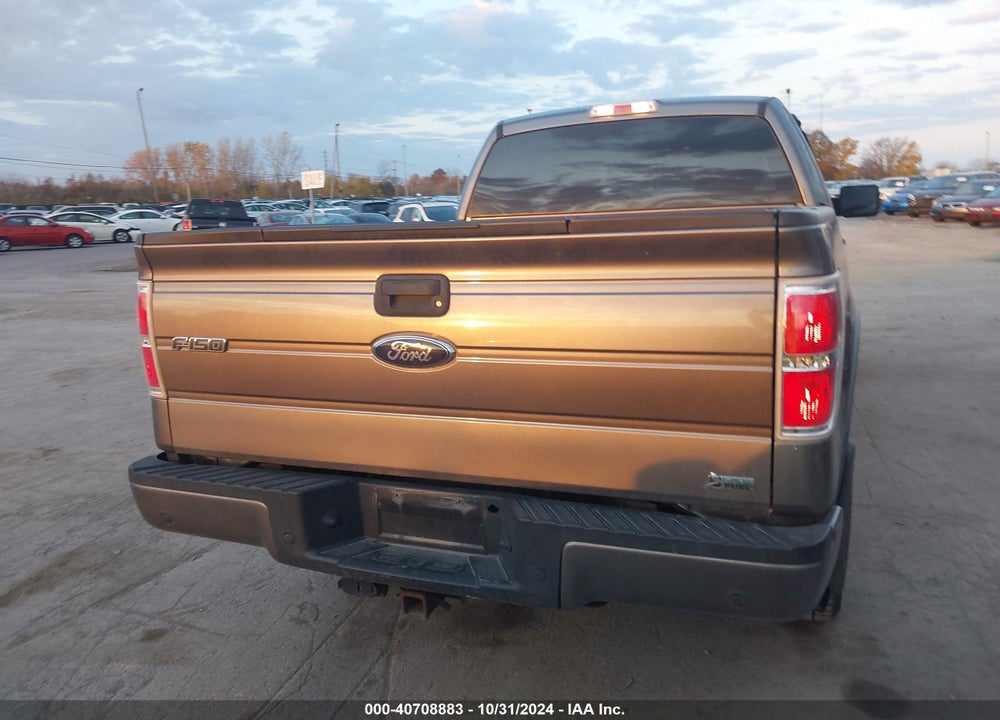 2010 FORD F-150 VIN: 1FTFX1EV8AFC76568