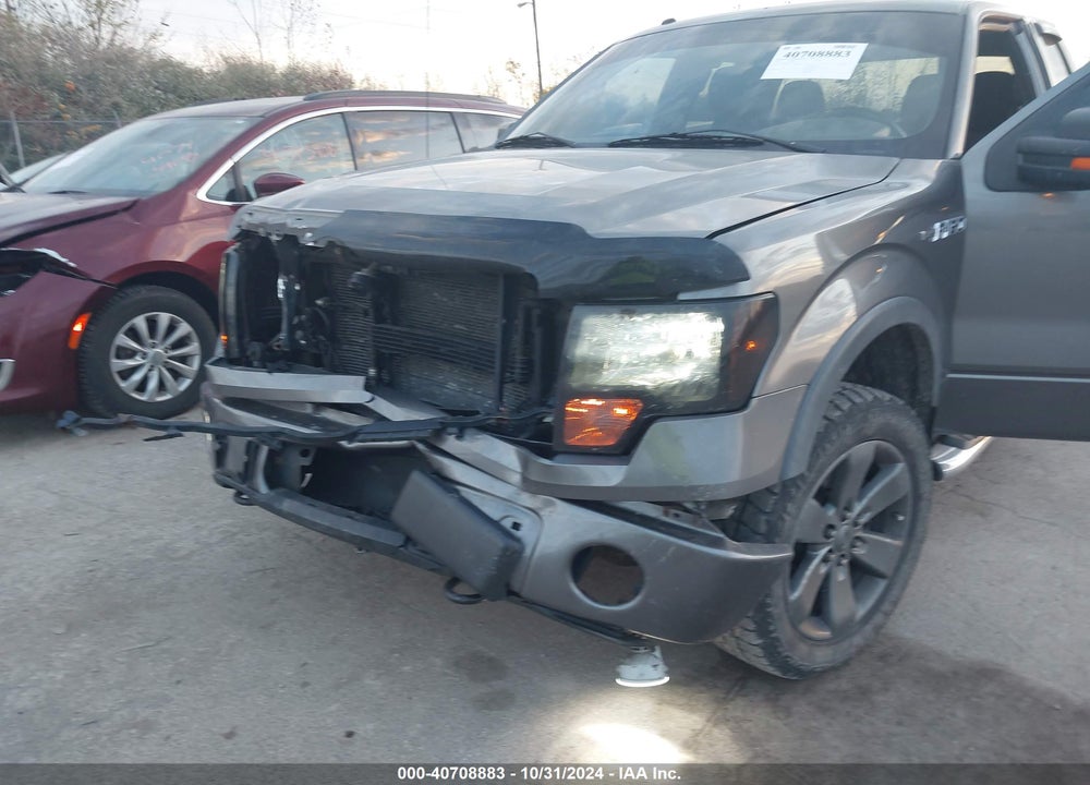 2010 FORD F-150 VIN: 1FTFX1EV8AFC76568