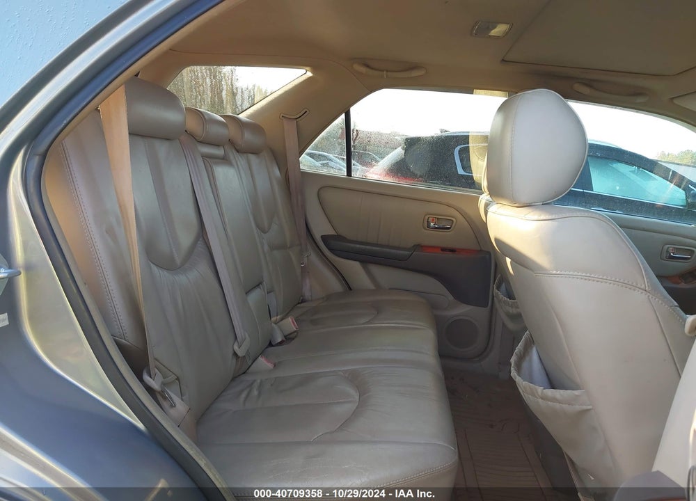 2002 LEXUS RX 300 VIN: JTJHF10U420247189