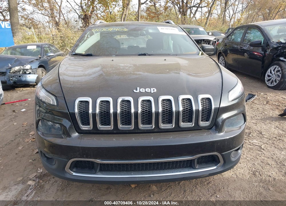 2014 JEEP CHEROKEE LIMITED VIN: 1C4PJLDSXEW134222