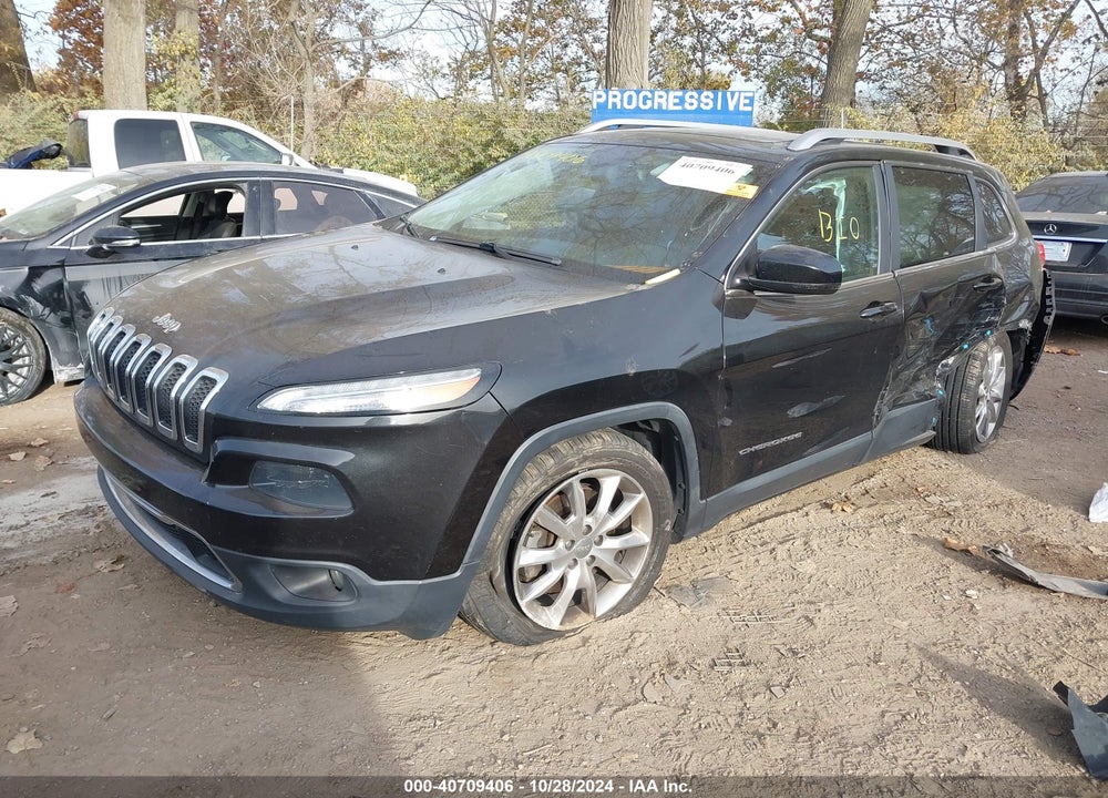 2014 JEEP CHEROKEE LIMITED VIN: 1C4PJLDSXEW134222