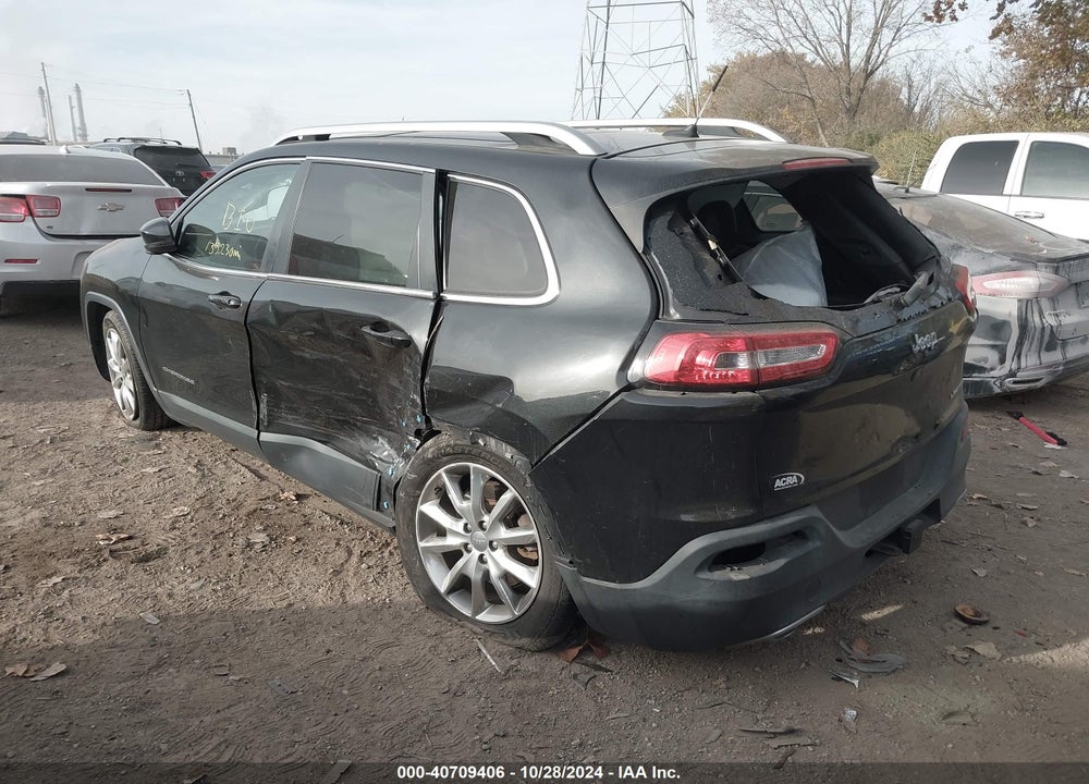 2014 JEEP CHEROKEE LIMITED VIN: 1C4PJLDSXEW134222