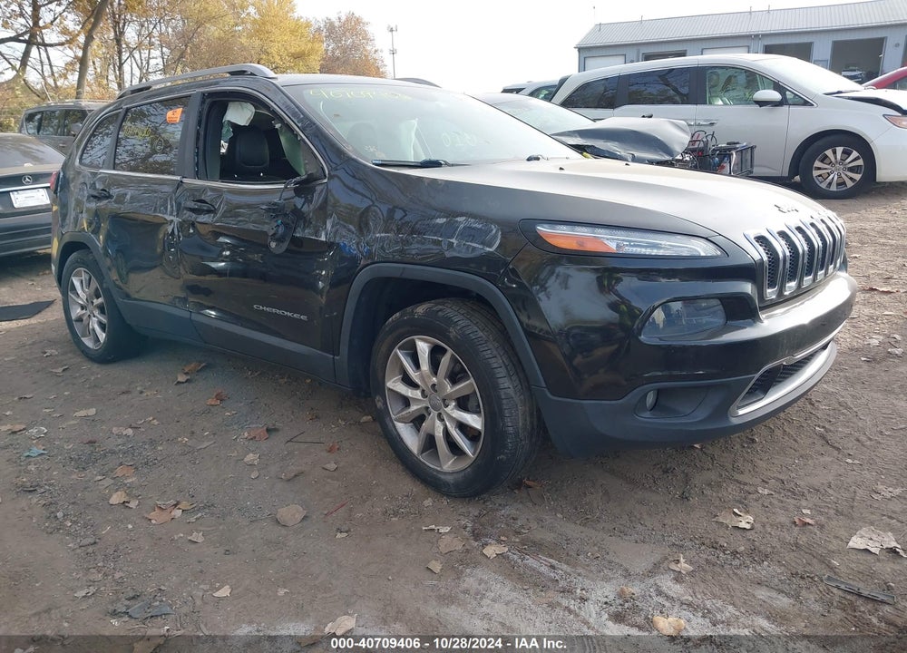 2014 JEEP CHEROKEE LIMITED VIN: 1C4PJLDSXEW134222