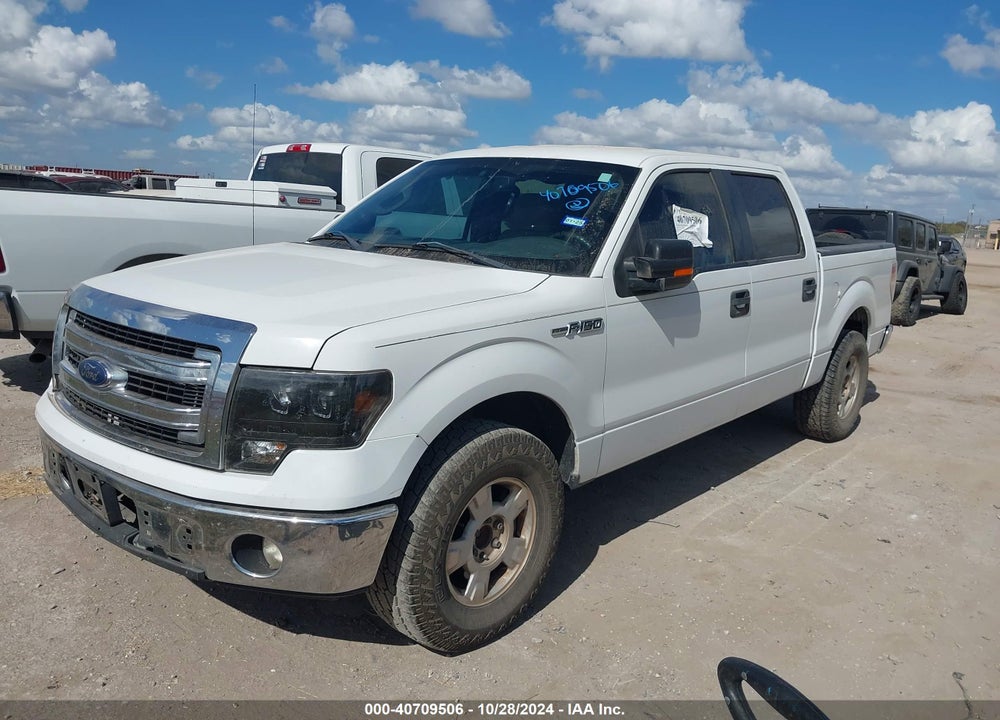 2013 FORD F-150 XLT VIN: 1FTEW1CM7DKE63174