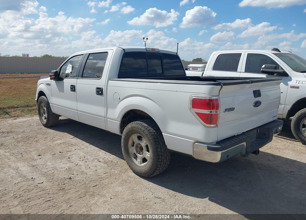 2013 FORD F-150 XLT VIN: 1FTEW1CM7DKE63174