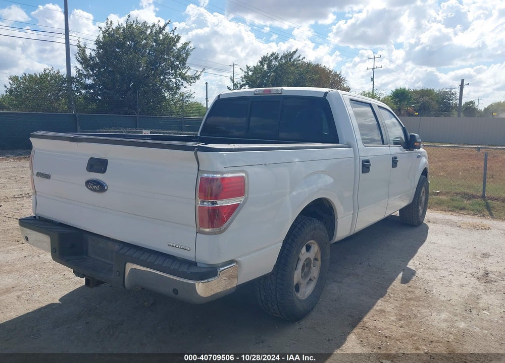 2013 FORD F-150 XLT VIN: 1FTEW1CM7DKE63174