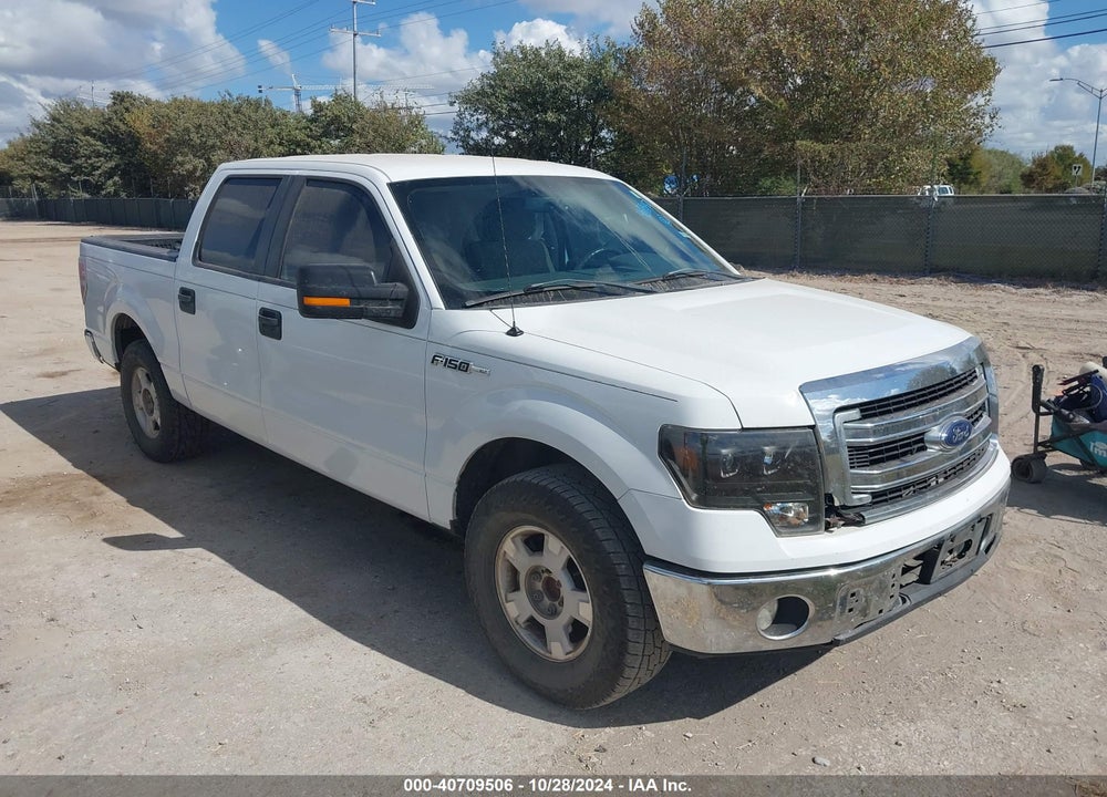 2013 FORD F-150 XLT VIN: 1FTEW1CM7DKE63174