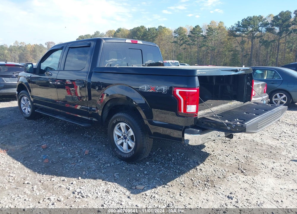 2015 FORD F-150 XLT VIN: 1FTEW1E82FKD06025
