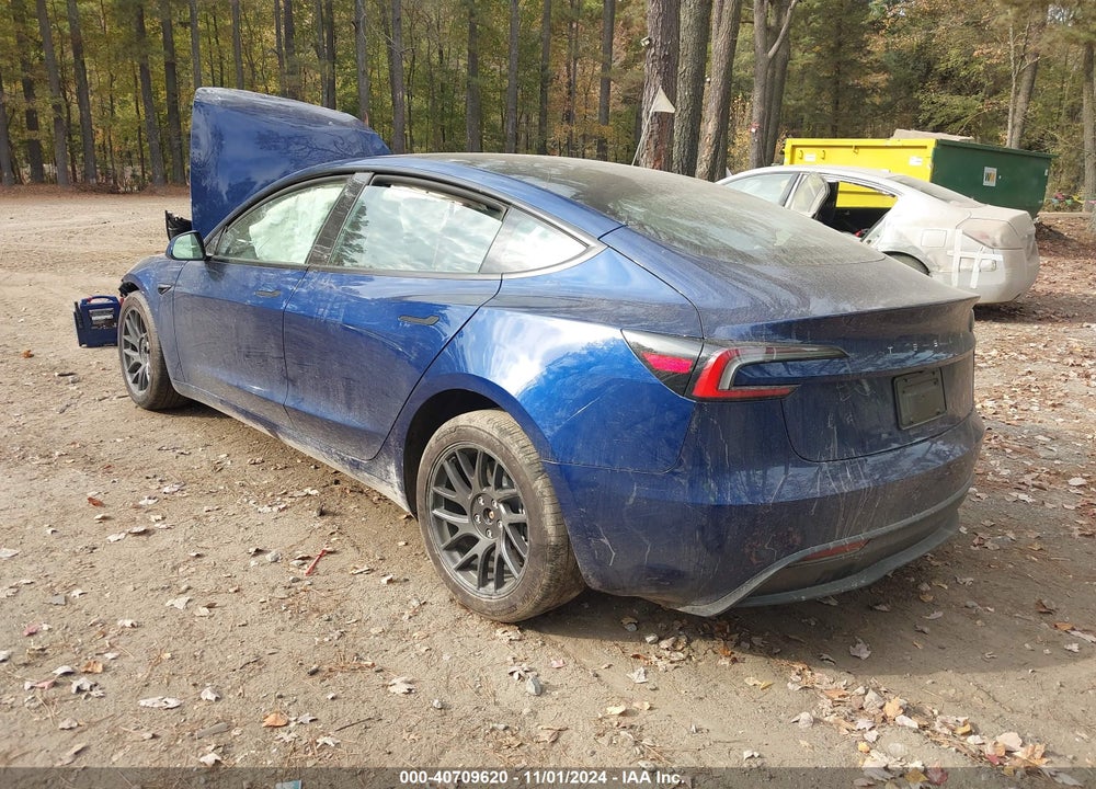 2024 TESLA MODEL 3 REAR-WHEEL DRIVE VIN: 5YJ3E1EAXRF784319