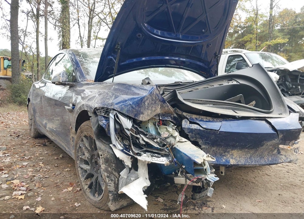 2024 TESLA MODEL 3 REAR-WHEEL DRIVE VIN: 5YJ3E1EAXRF784319
