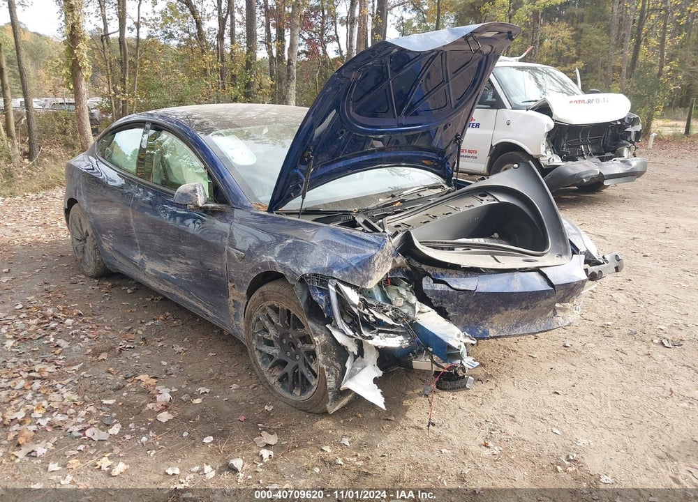 2024 TESLA MODEL 3 REAR-WHEEL DRIVE VIN: 5YJ3E1EAXRF784319