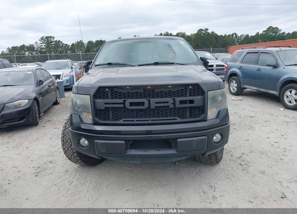 2013 FORD F-150 FX2 VIN: 1FTFW1CF6DKD11439