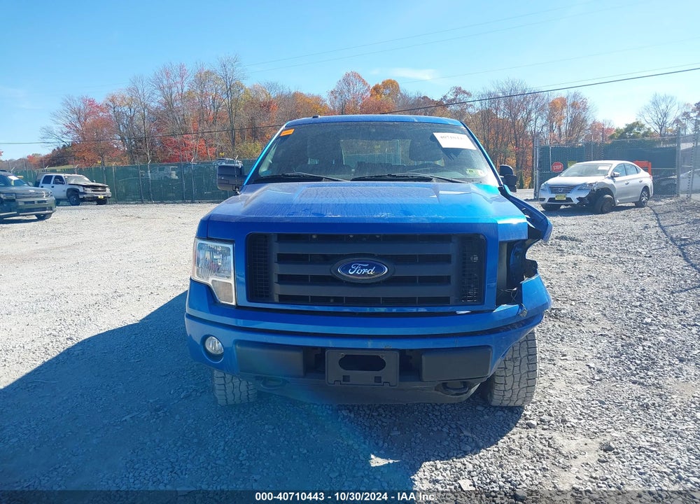 2012 FORD F-150 STX VIN: 1FTFX1EF5CFB81395