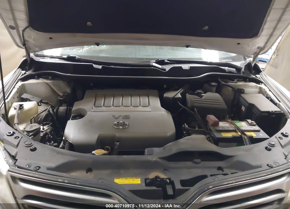 2009 TOYOTA VENZA VIN: 4T3BK11A39U011261