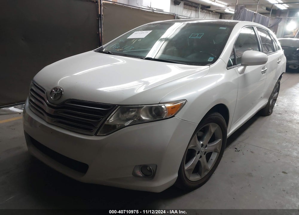 2009 TOYOTA VENZA VIN: 4T3BK11A39U011261