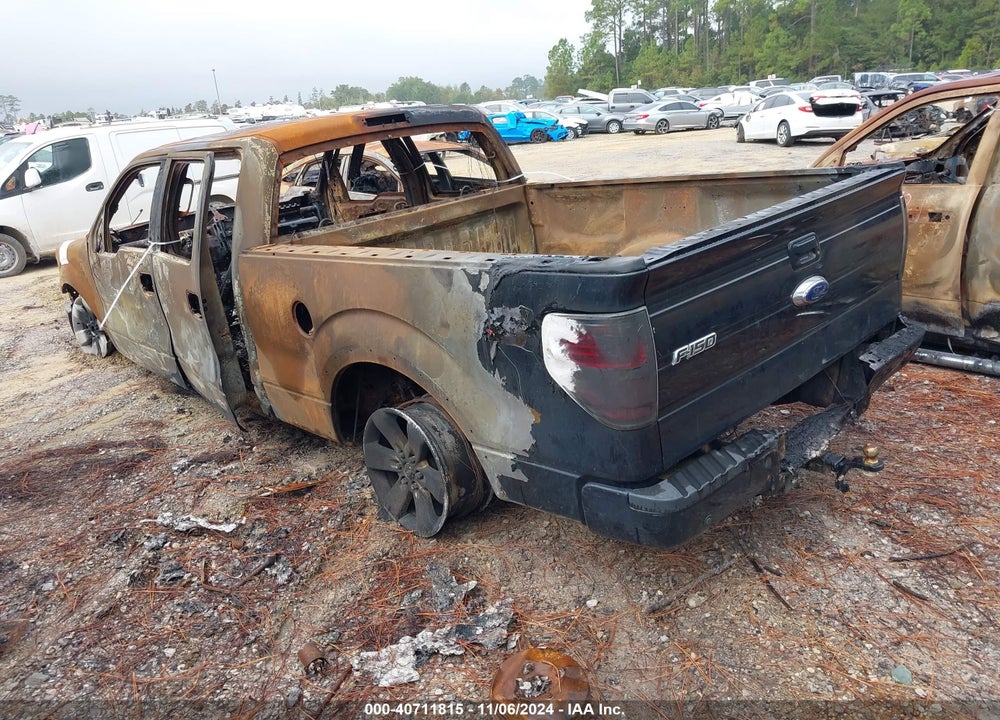 2012 FORD F-150 FX4 VIN: 1FTFW1ETXCFA63660