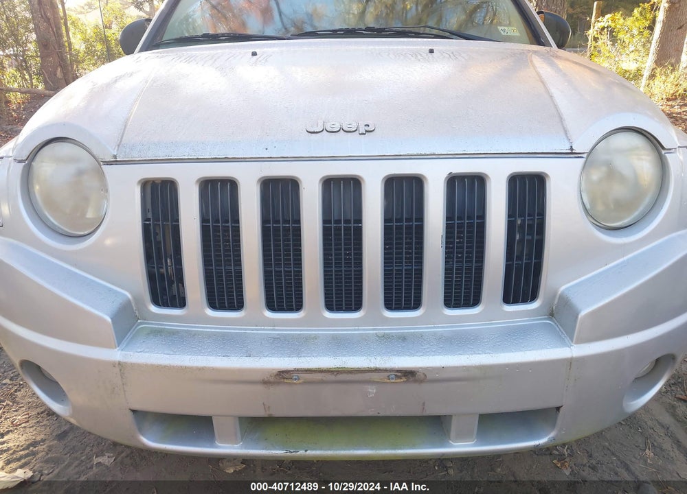 2010 JEEP COMPASS SPORT VIN: 1J4NT4FB3AD644397