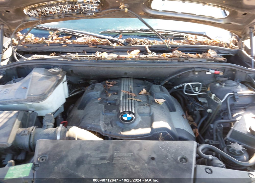 2004 BMW X5 4.4I VIN: 5UXFB53574LV06615