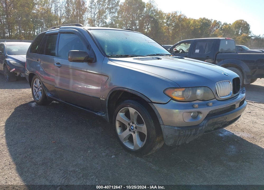 2004 BMW X5 4.4I VIN: 5UXFB53574LV06615