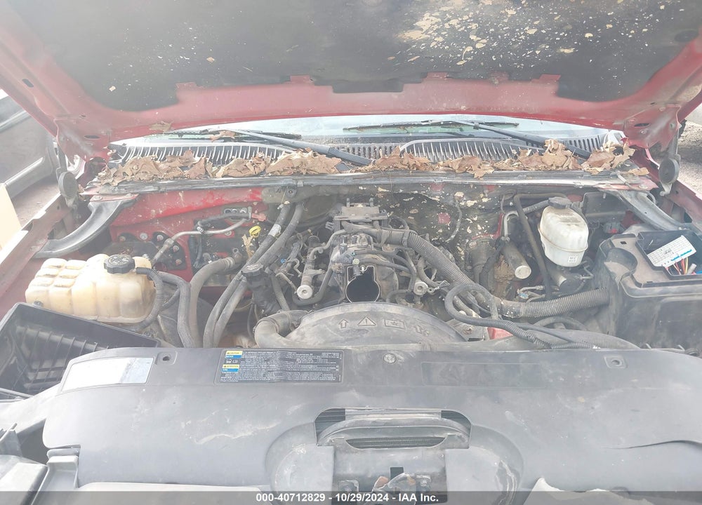 2004 CHEVROLET AVALANCHE 1500 VIN: 3GNEC12T34G223443