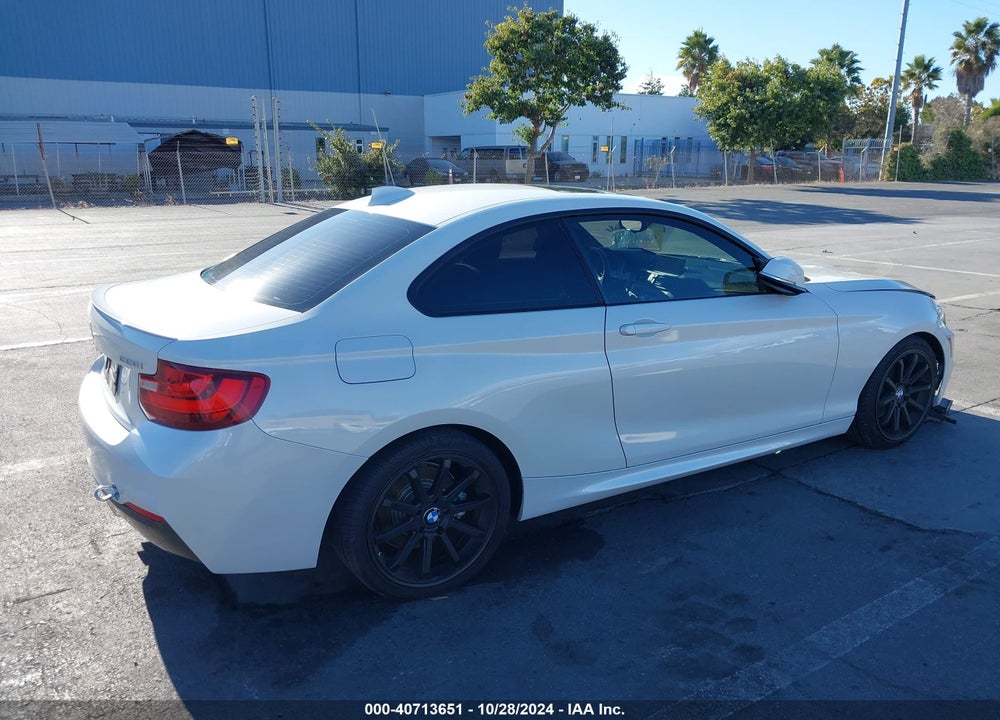 2015 BMW 228I VIN: WBA1F9C53FVW98482