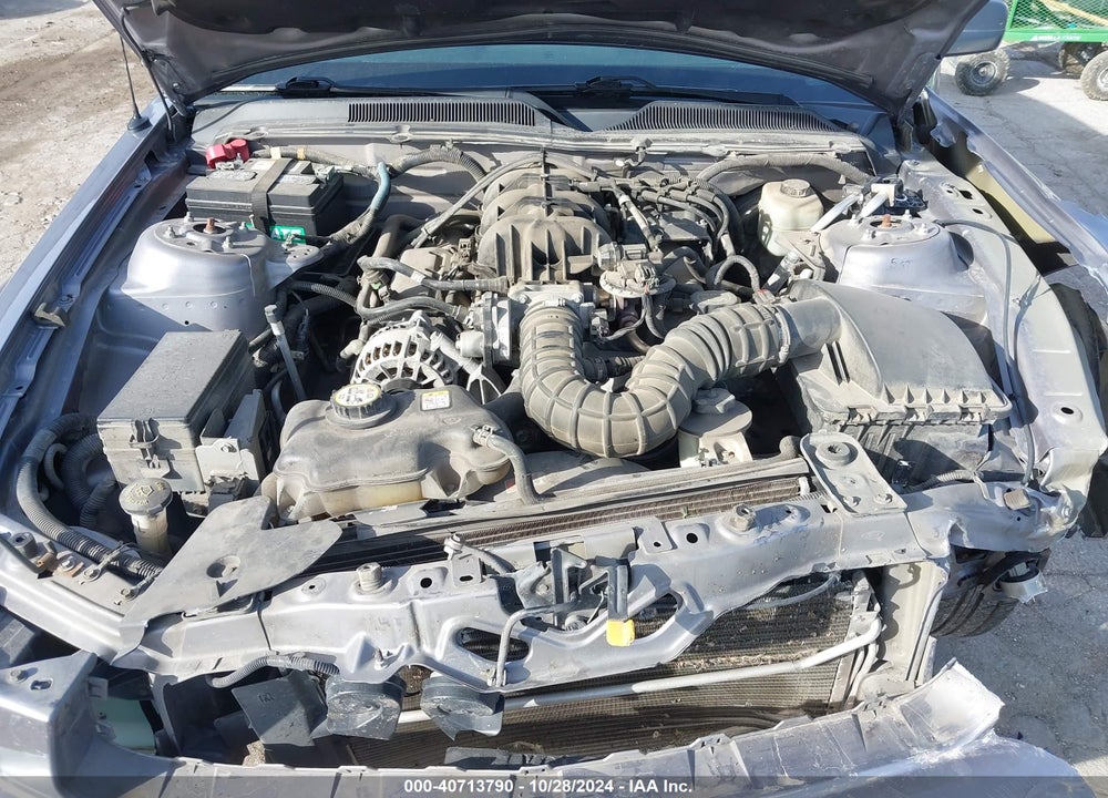 2006 FORD MUSTANG V6 VIN: 1ZVFT80N665117151