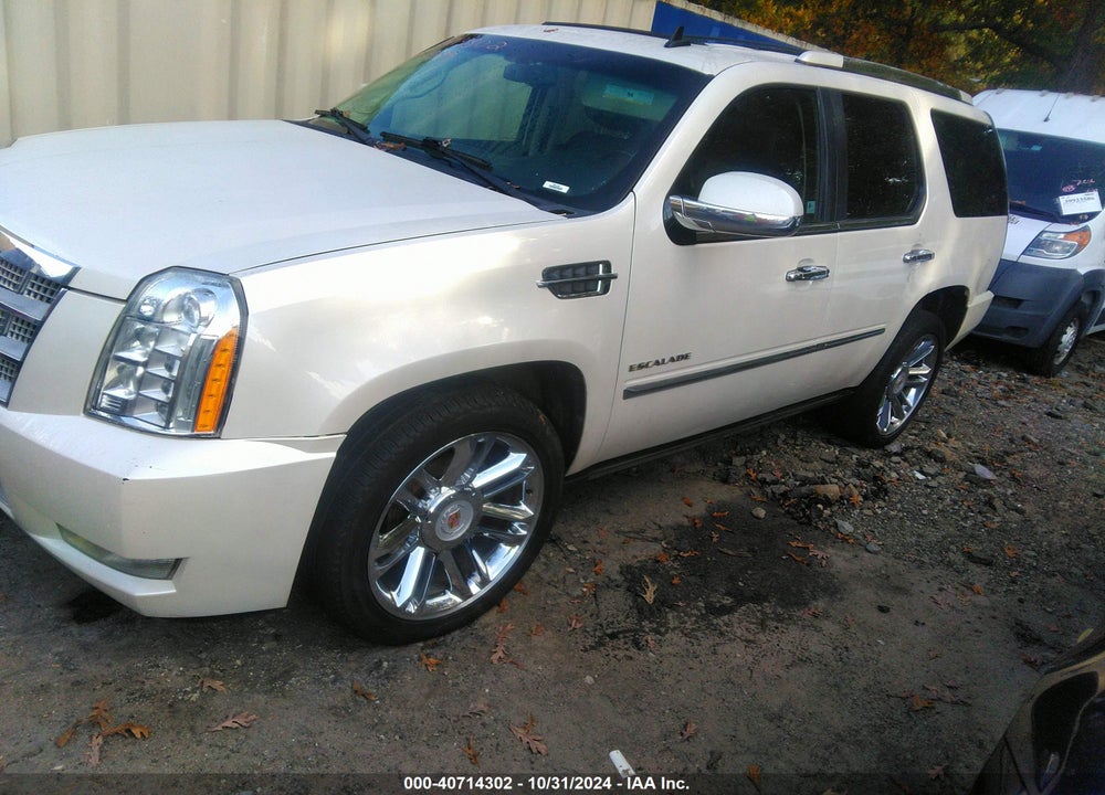 2011 CADILLAC ESCALADE PLATINUM EDITION VIN: 1GYS4DEF2BR113717