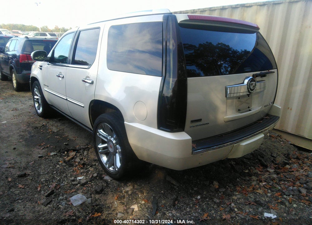 2011 CADILLAC ESCALADE PLATINUM EDITION VIN: 1GYS4DEF2BR113717