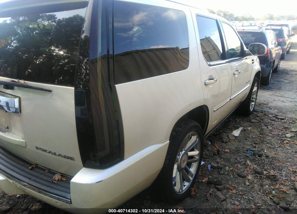 2011 CADILLAC ESCALADE PLATINUM EDITION VIN: 1GYS4DEF2BR113717