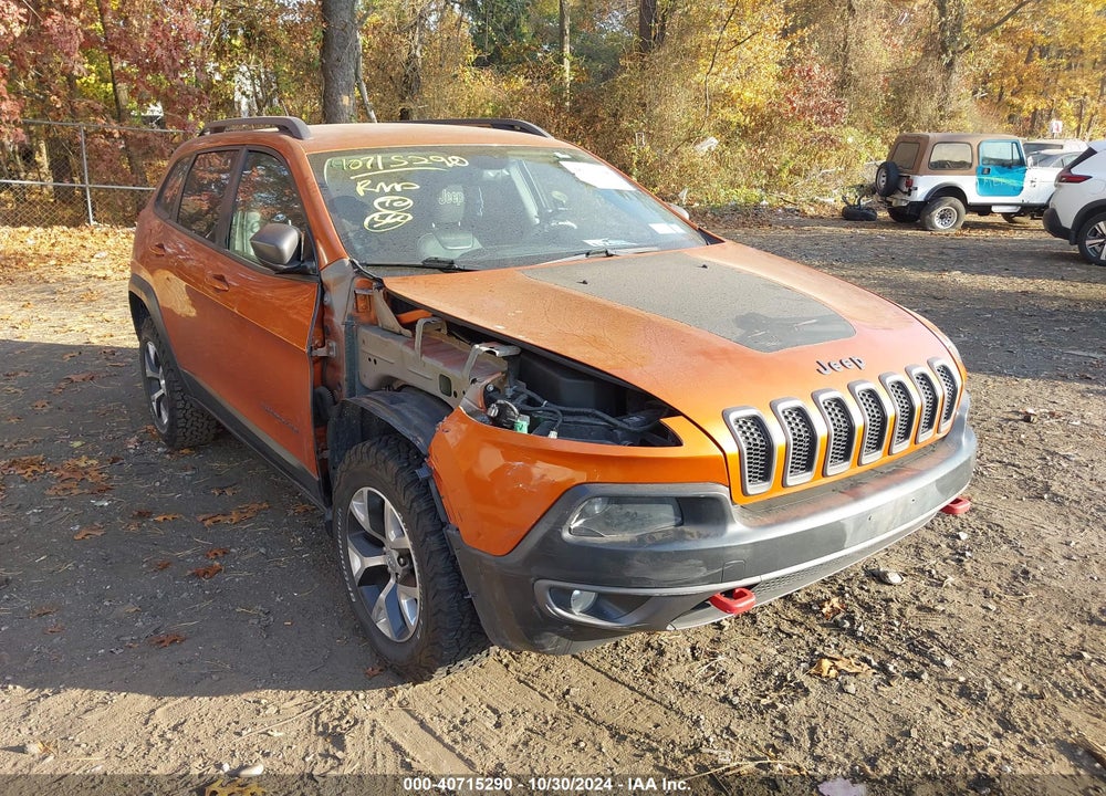 2014 JEEP CHEROKEE TRAILHAWK VIN: 1C4PJMBS3EW254744