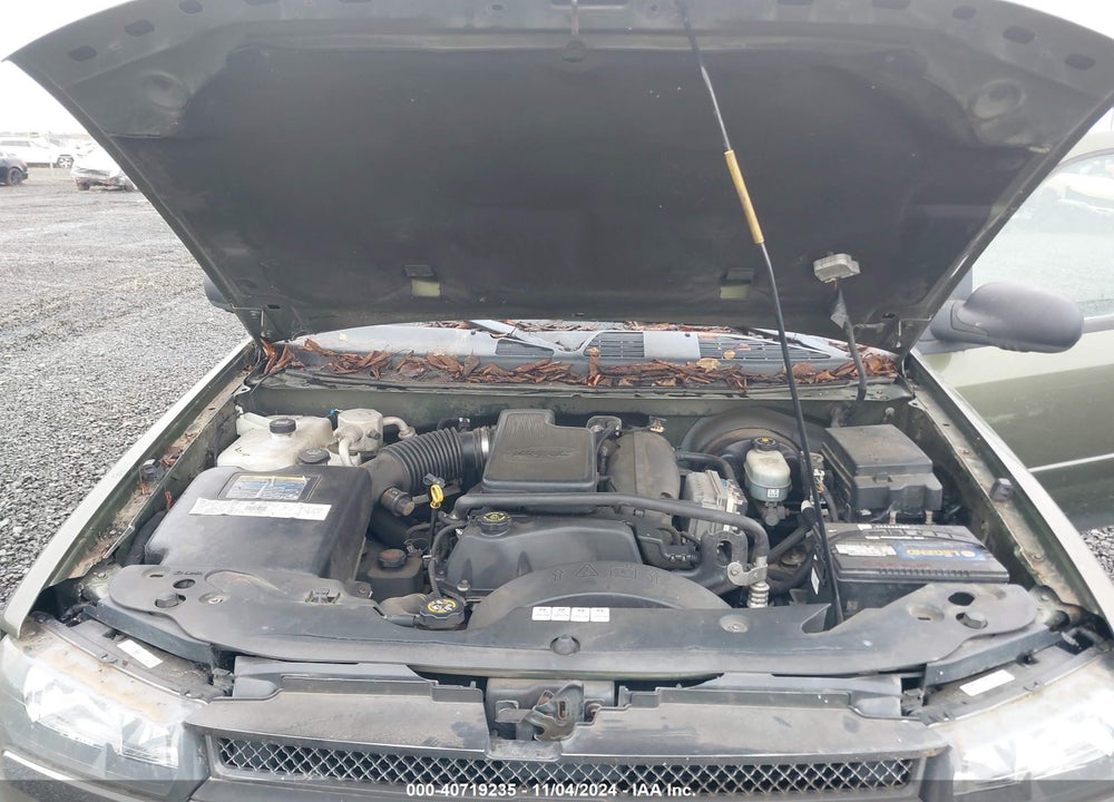 2002 CHEVROLET TRAILBLAZER LS VIN: 1GNDT13S322149402