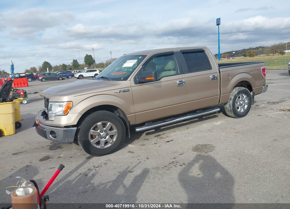 2013 FORD F-150 VIN: 1FTFW1CF5DKD22335