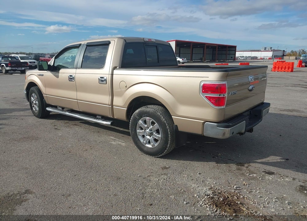 2013 FORD F-150 VIN: 1FTFW1CF5DKD22335